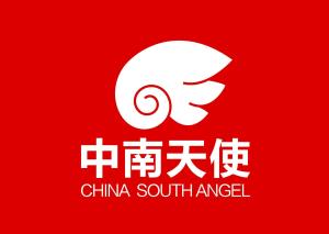 中南天使 湖南 文化传媒