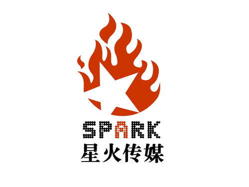 湖南环亚星火文化传媒