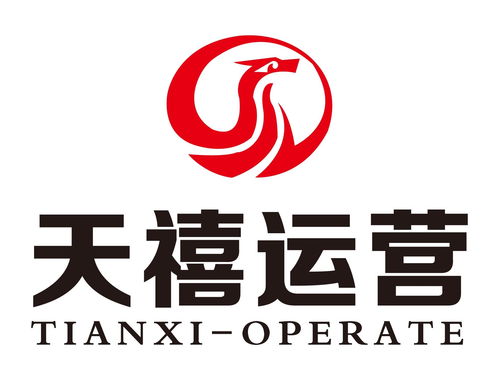 合肥天斐文化传媒 探索文化传媒行业的新篇章