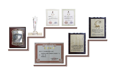 获奖荣誉_湖南漫联卡通文化传媒