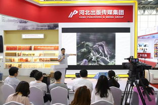 河北出版传媒集团 北京图博会上的文化亮眼风景线